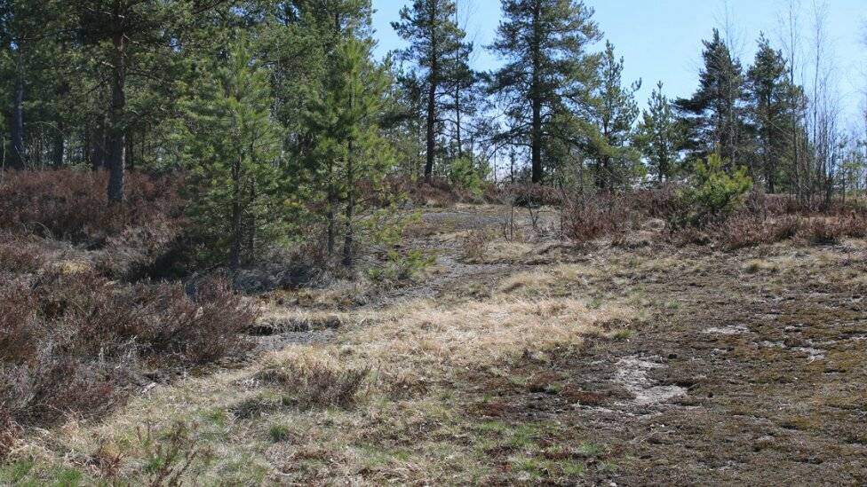 Фото Гостиницы Сканди Выборг 157