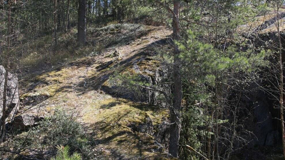 Фото Гостиницы Сканди Выборг 31