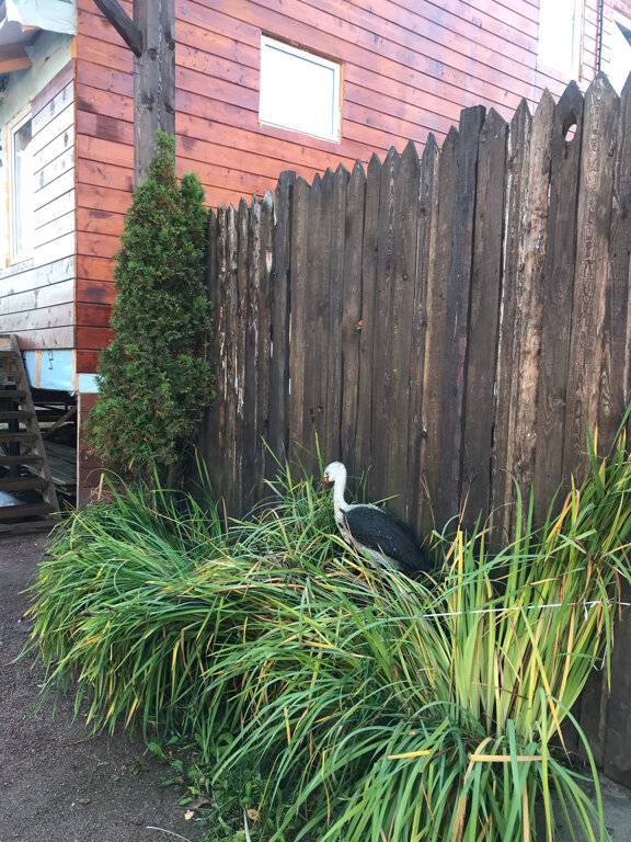 Фото Гостиницы Сканди Выборг 223