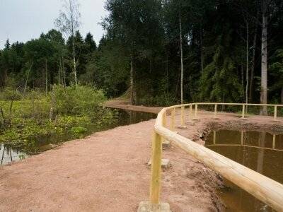 Фото Гостиницы Сканди Выборг 126